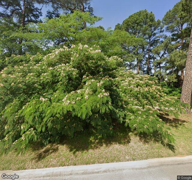 Cross Timbers Rehabilitation and Healthcare Center Nursing Home in Flower Mound, TX — Street View